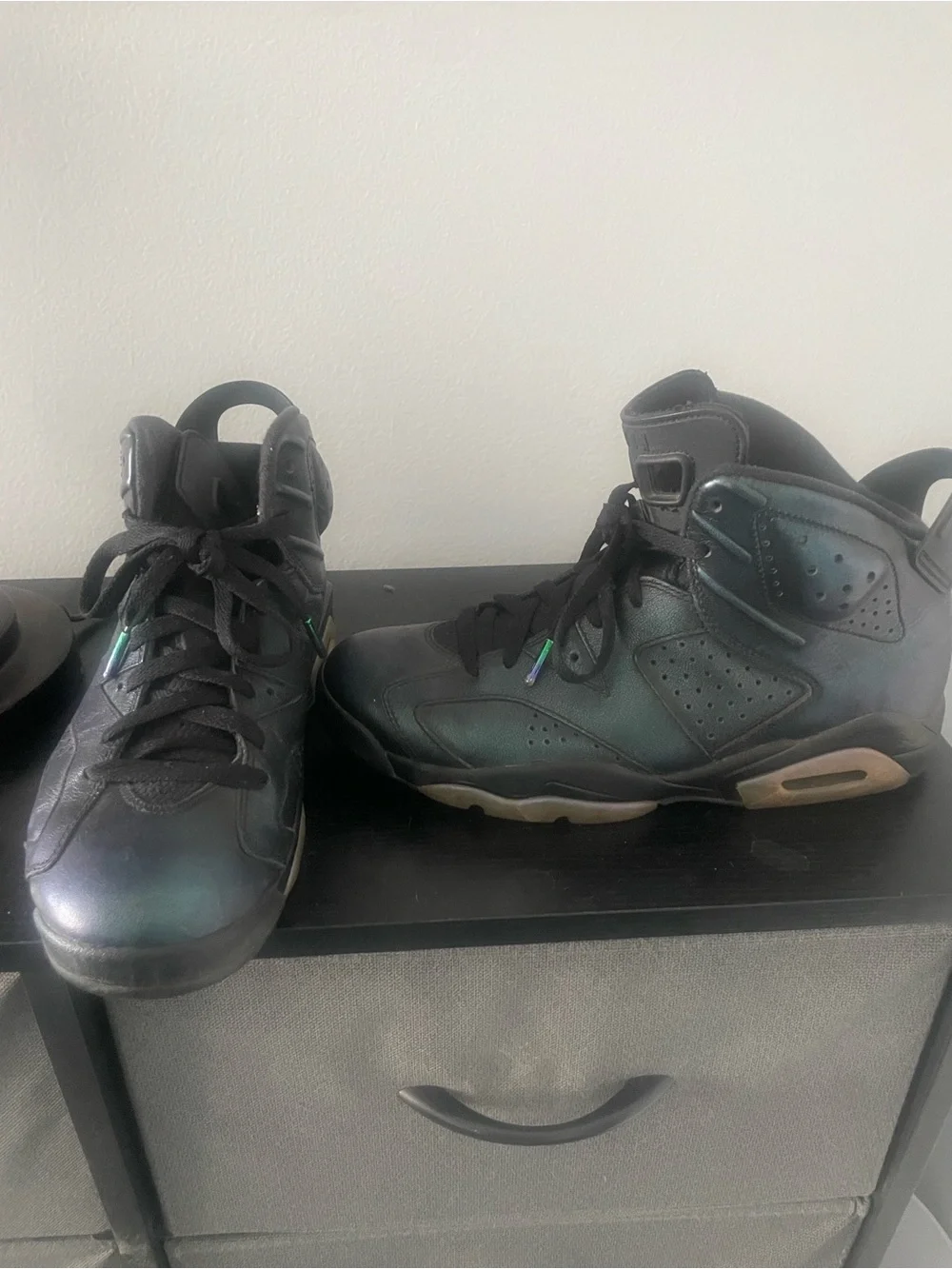 Jordan 6 Iridescent chameleons